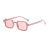 C09 Pink Frame Powder